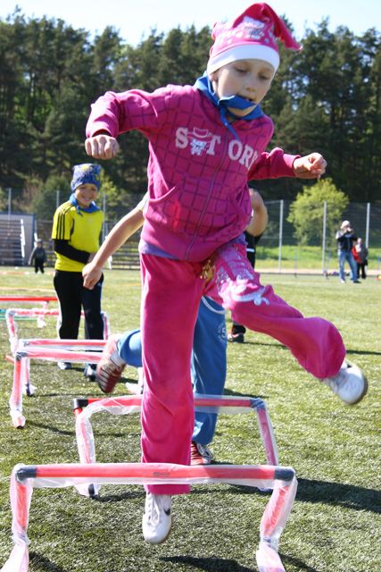 Gallery image 253264