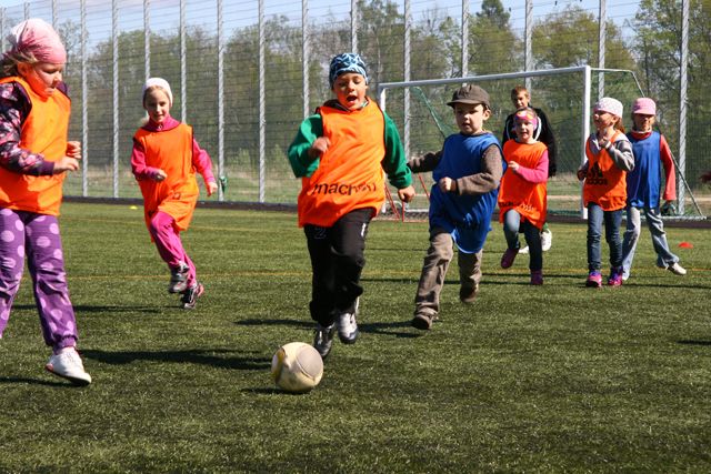 Gallery image 253269