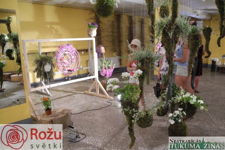 Gallery image 253202