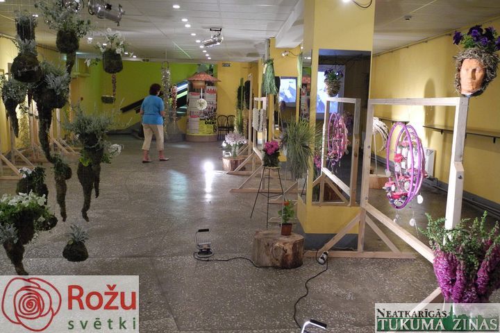 Gallery image 253203