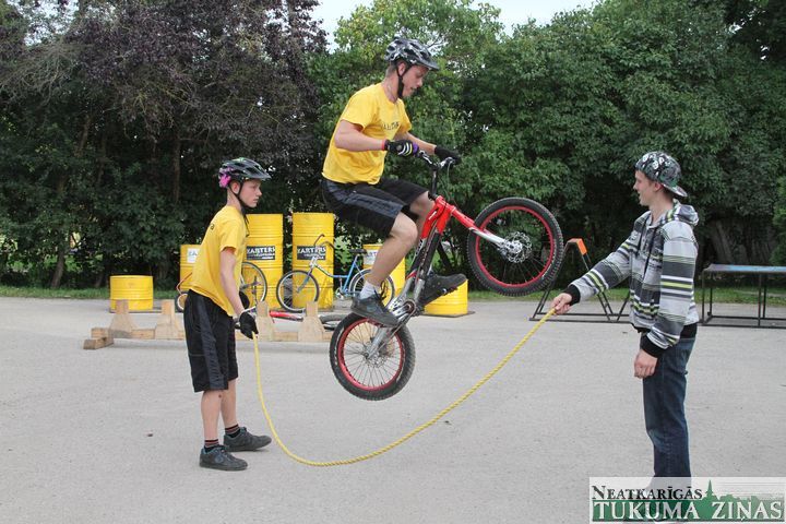 Gallery image 253132