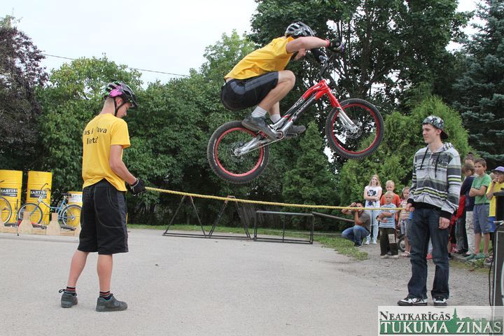 Gallery image 253131