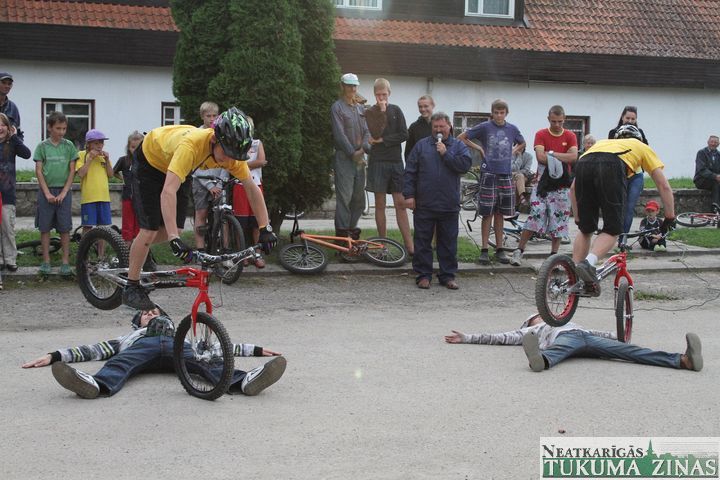 Gallery image 253135