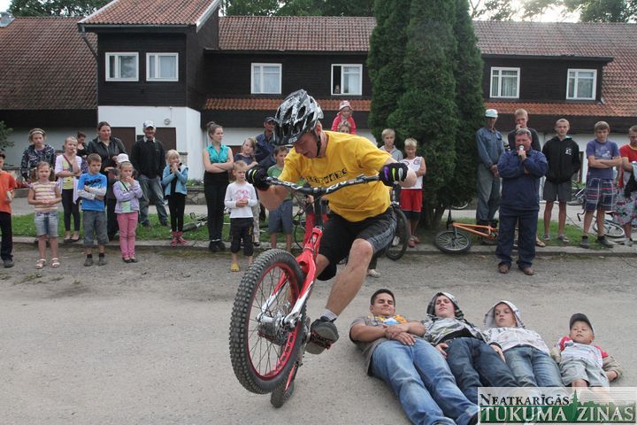 Gallery image 253136