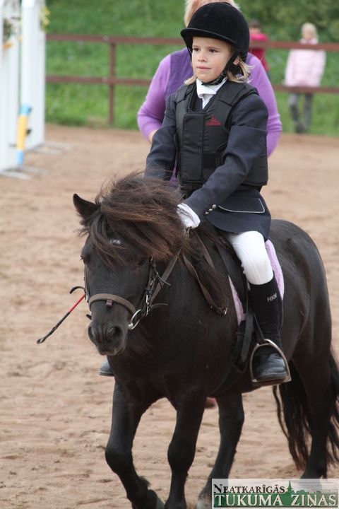 Gallery image 253114