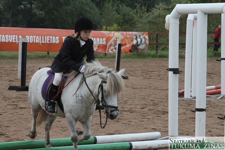 Gallery image 253116