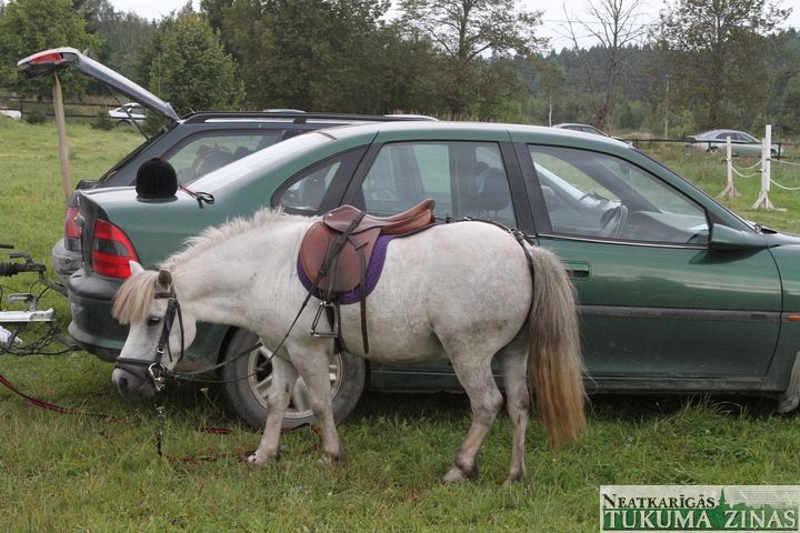 Gallery image 253115