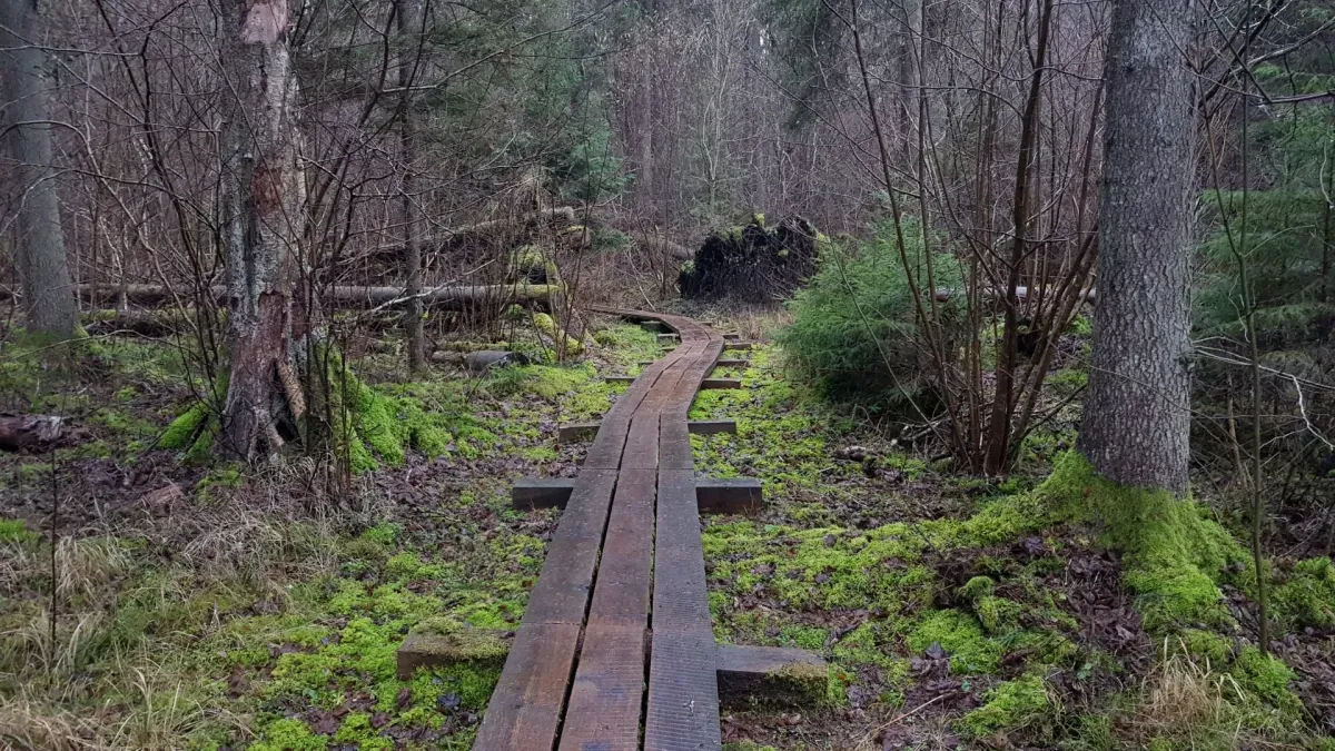 Aicina uz laiku atturēties no došanās dabas takās!
