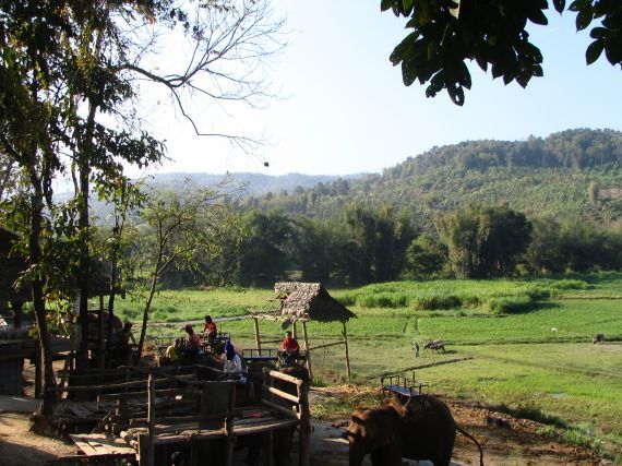 Gallery image 187963