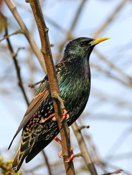 Gallery image 187993