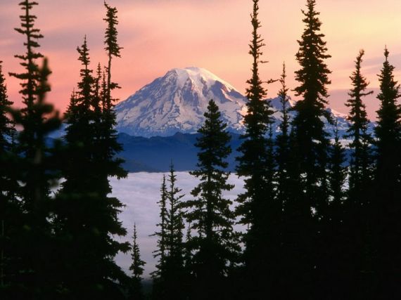 Gallery image 188120