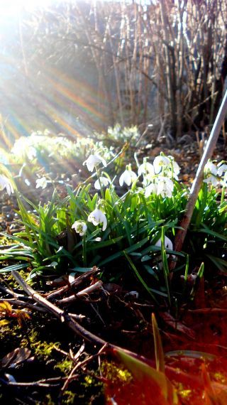 Gallery image 187922