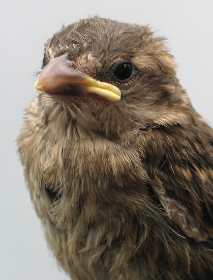 Gallery image 188125