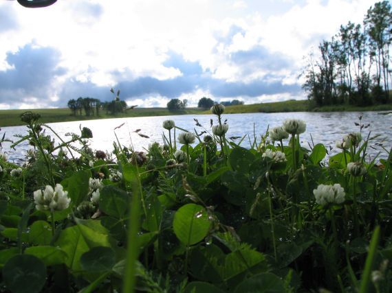 Gallery image 187851