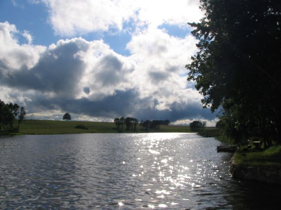 Gallery image 187853