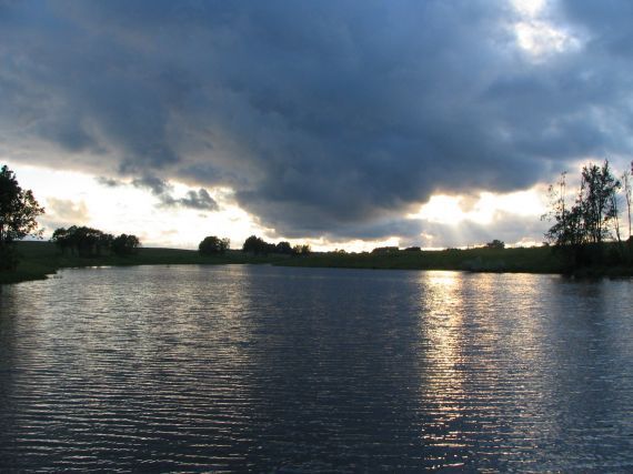 Gallery image 187855