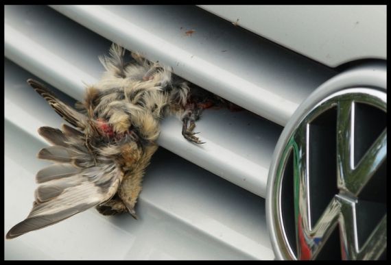 Gallery image 188124