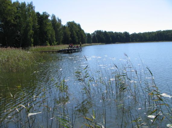 Gallery image 187720