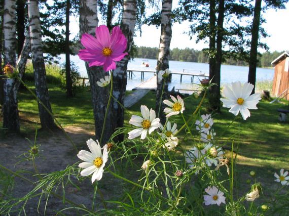 Gallery image 187719