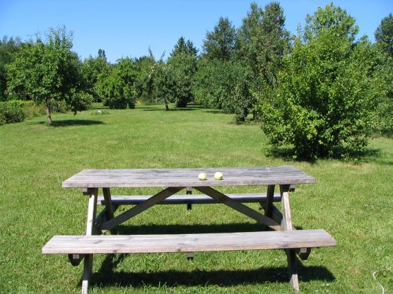 Gallery image 187724