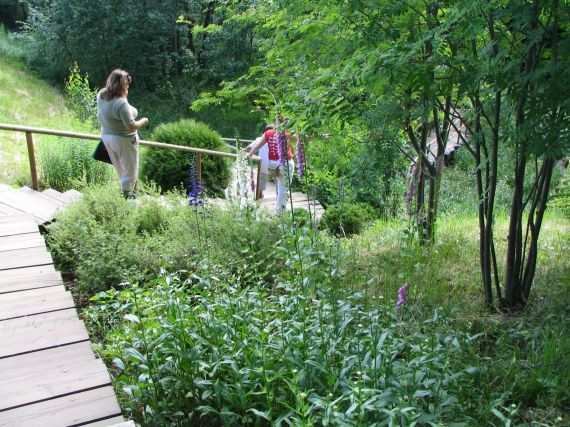 Gallery image 187706