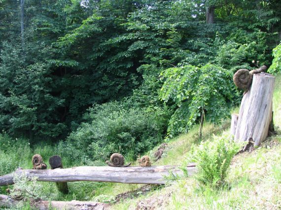 Gallery image 187708