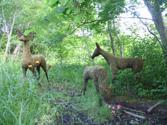 Gallery image 187709