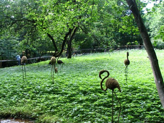 Gallery image 187711