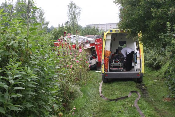 Gallery image 187644