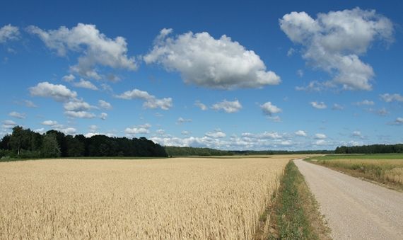 Gallery image 188127