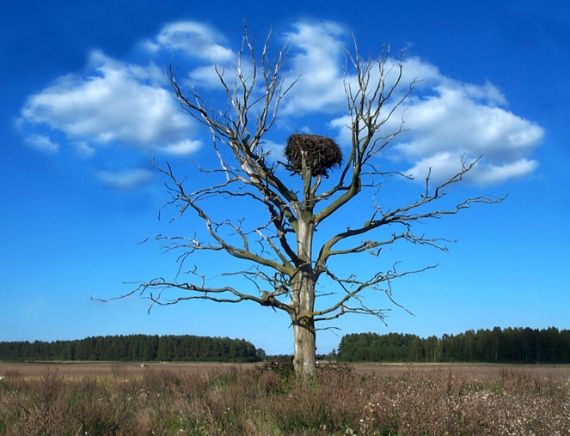 Gallery image 188129