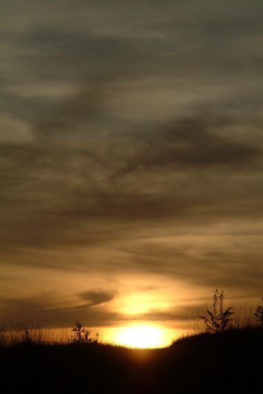 Gallery image 187531