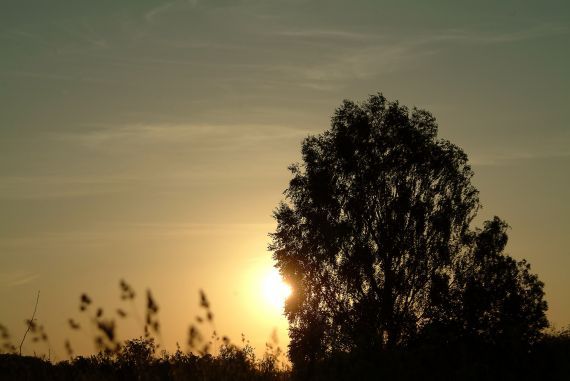 Gallery image 187532