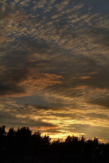 Gallery image 187533