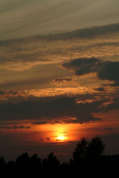 Gallery image 187534