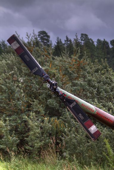 Gallery image 187527