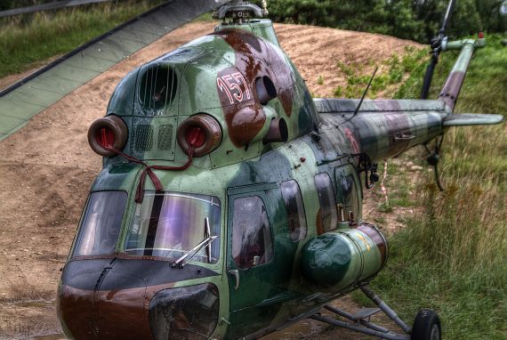 Gallery image 187529