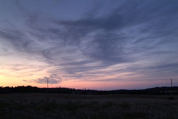 Gallery image 187524