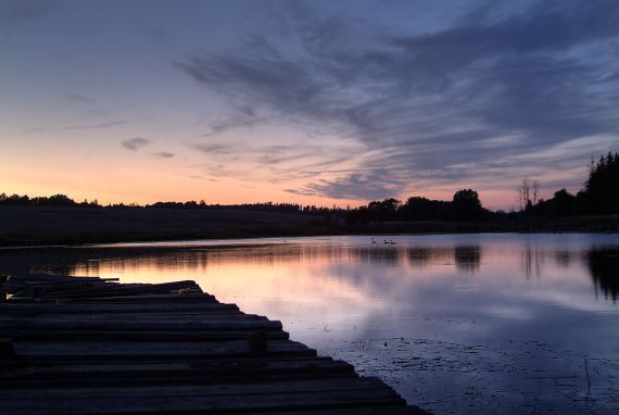 Gallery image 187525