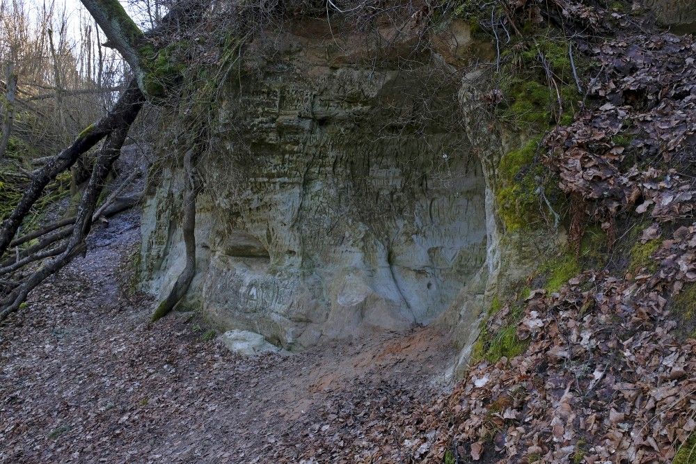 Aicina nebojāt dabas pieminekļus!