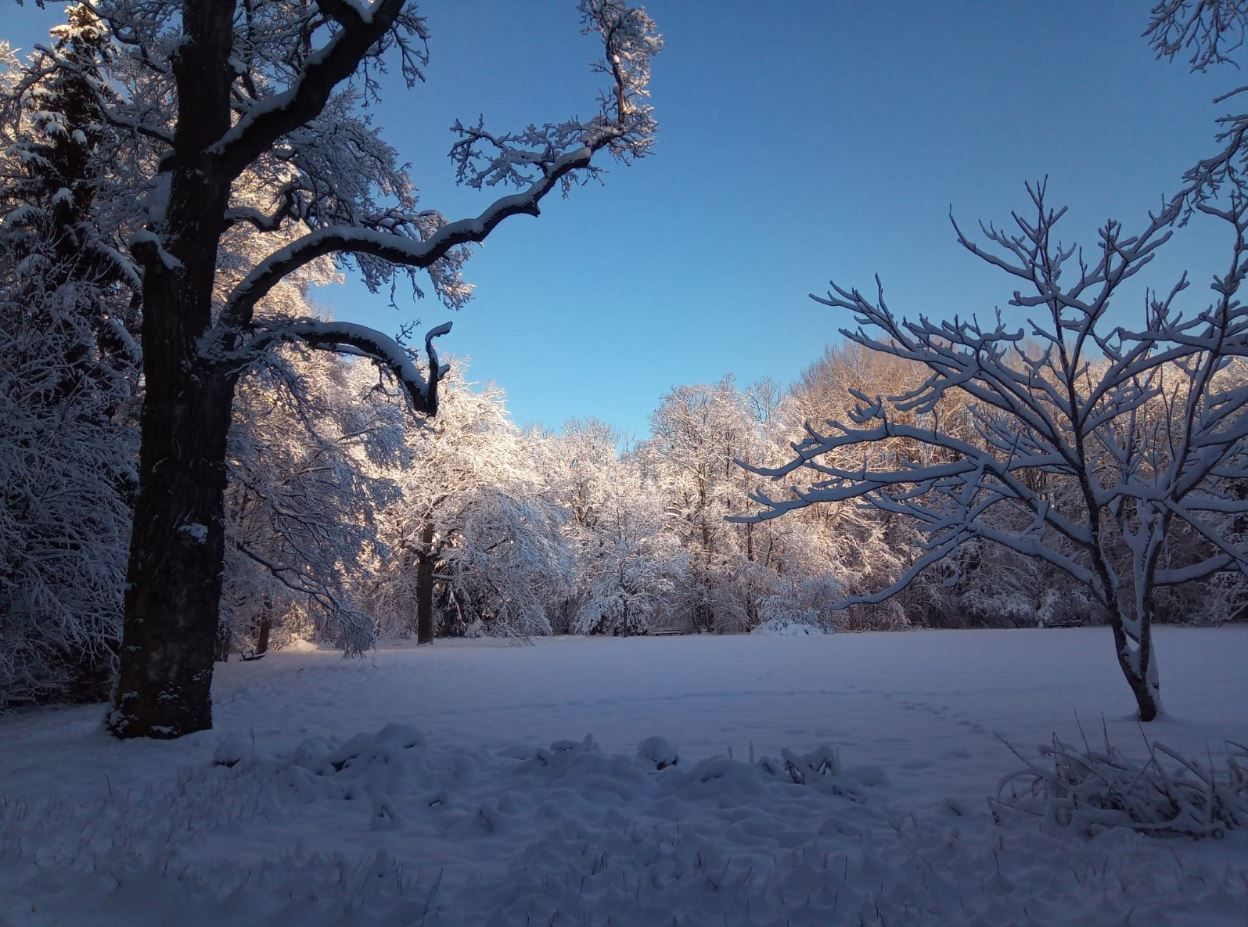 Ziemassvētku satikšanās Ķemeru Nacionālajā parkā