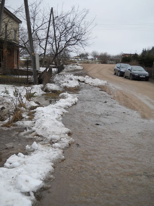 Gallery image 181739