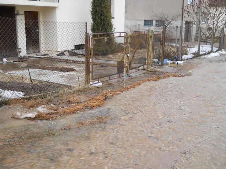 Gallery image 181740