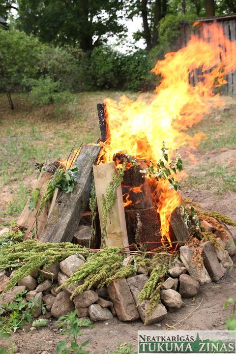 Gallery image 165419