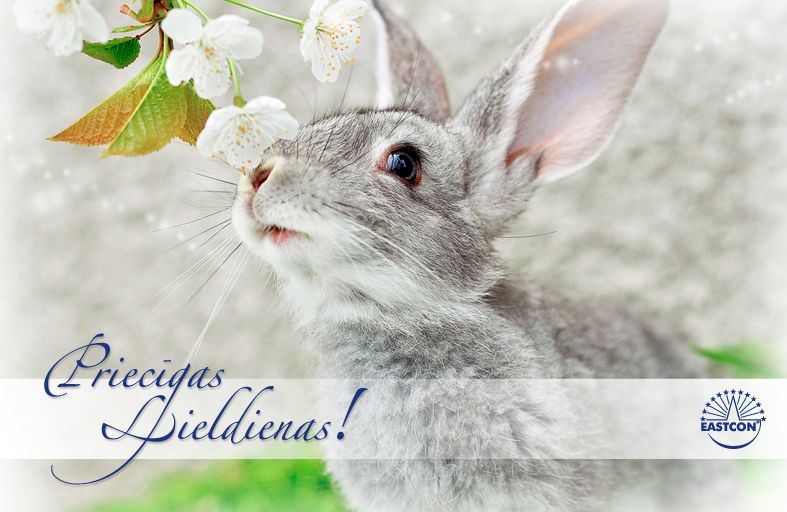 Gallery image 179544