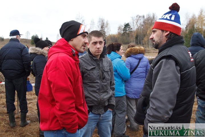 Gallery image 166511