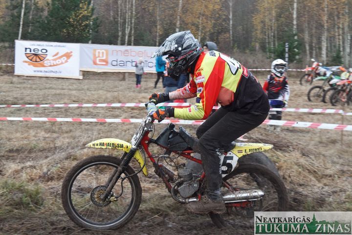 Gallery image 166513