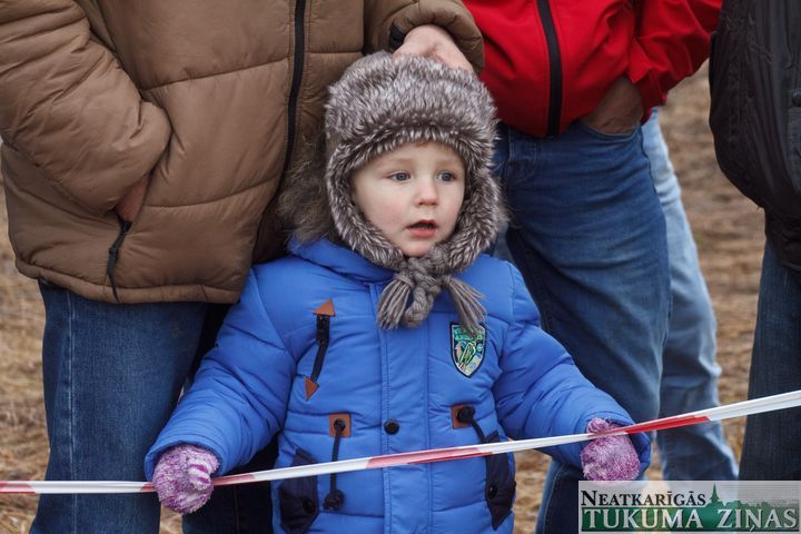 Gallery image 166514