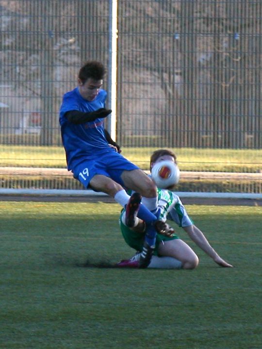 Gallery image 180488