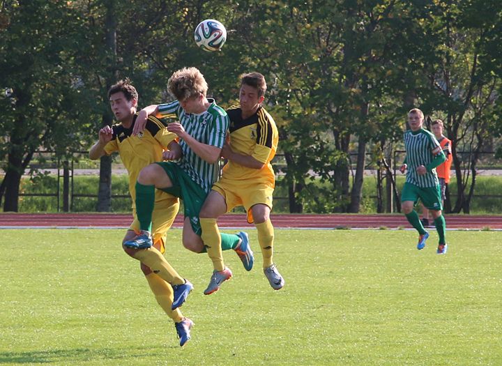 Gallery image 252846